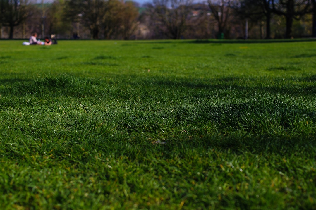 Photo Picnic in park